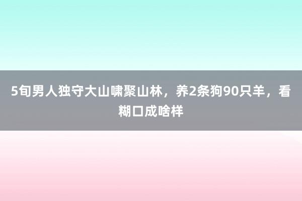 5旬男人独守大山啸聚山林，养2条狗90只羊，看糊口成啥样