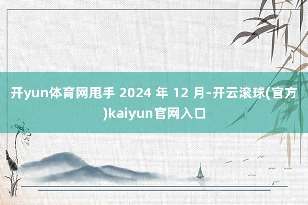 开yun体育网甩手 2024 年 12 月-开云滚球(官方)kaiyun官网入口