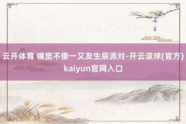 云开体育 嗅觉不像一又友生辰派对-开云滚球(官方)kaiyun官网入口